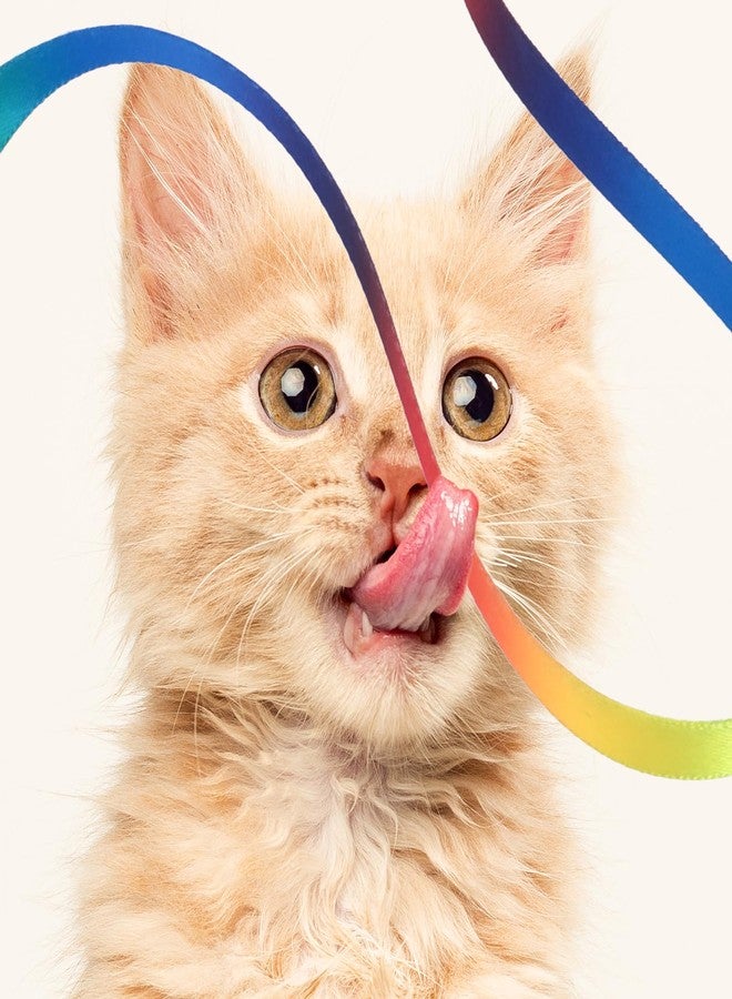 Amaxiu Cat Wand Toy Set, Interactive Cat Wand Toy with Rainbow Ribbon String, Rainbow Cloth String, Leopard Print Cloth String for Small Cats Kittens Indoor Training Catcher (3 Packs) - Image 5